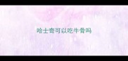 哈士奇可以吃牛骨吗