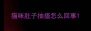 猫咪肚子抽搐怎么回事