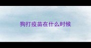 狗打疫苗在什么时候