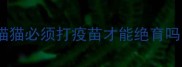 猫猫必须打疫苗才能绝育吗