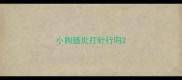 小狗肠炎打针行吗