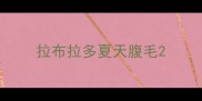 拉布拉多夏天腹毛