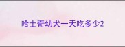 哈士奇幼犬一天吃多少