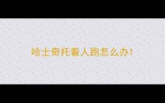 哈士奇托着人跑怎么办