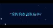 给狗狗泰迪取名字