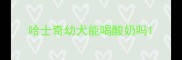 哈士奇幼犬能喝酸奶吗
