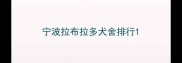 宁波拉布拉多犬舍排行