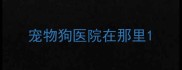 宠物狗医院在那里