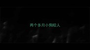 两个多月小狗咬人