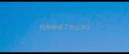 狗狗脚破了怎么办