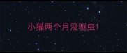 小猫两个月没驱虫