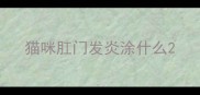 猫咪肛门发炎涂什么