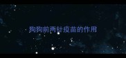 狗狗前两针疫苗的作用