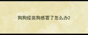 狗狗疫苗狗感冒了怎么办