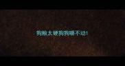 狗粮太硬狗狗嚼不动