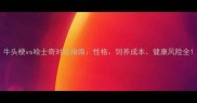 牛头梗vs哈士奇对比指南性格饲养成本健康风险全