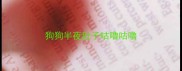 狗狗半夜肚子咕噜咕噜