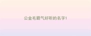 公金毛霸气好听的名字