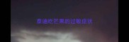 泰迪吃芒果的过敏症状