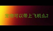 宠物可以带上飞机么
