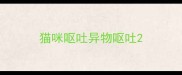 猫咪呕吐异物呕吐