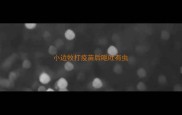小边牧打疫苗后呕吐有虫