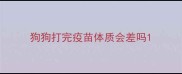 狗狗打完疫苗体质会差吗