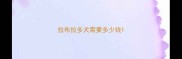 拉布拉多犬需要多少钱