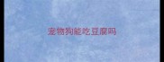 宠物狗能吃豆腐吗