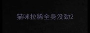 猫咪拉稀全身没劲