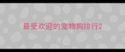 最受欢迎的宠物狗排行