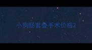 小狗肠套叠手术价格