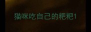 猫咪吃自己的粑粑