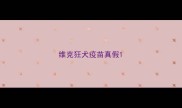 维克狂犬疫苗真假