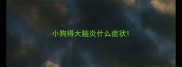 小狗得大脑炎什么症状