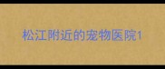 松江附近的宠物医院