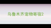 乌鲁木齐宠物寄宿