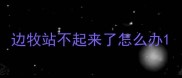 边牧站不起来了怎么办