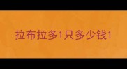 拉布拉多1只多少钱