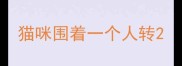 猫咪围着一个人转