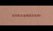 深圳联合宠物医院官网