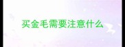 买金毛需要注意什么