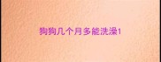 狗狗几个月多能洗澡