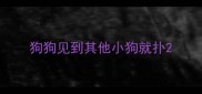 狗狗见到其他小狗就扑