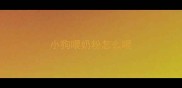 小狗喂奶粉怎么喂