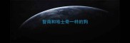 智商和哈士奇一样的狗