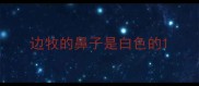 边牧的鼻子是白色的