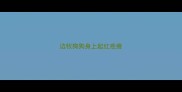 边牧狗狗身上起红疙瘩
