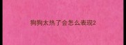 狗狗太热了会怎么表现