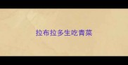 拉布拉多生吃青菜